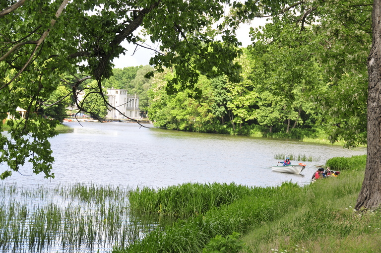 Image00005