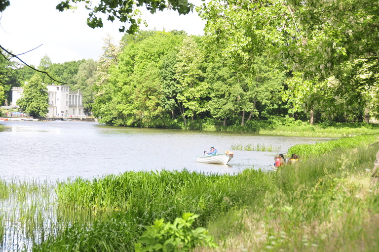Image00005